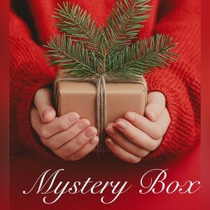 Holiday Mystery Box 22 pieces of random items